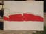 Poheb papee / 2005  7 / 90 x 120 / olej, tempera a email na pltn